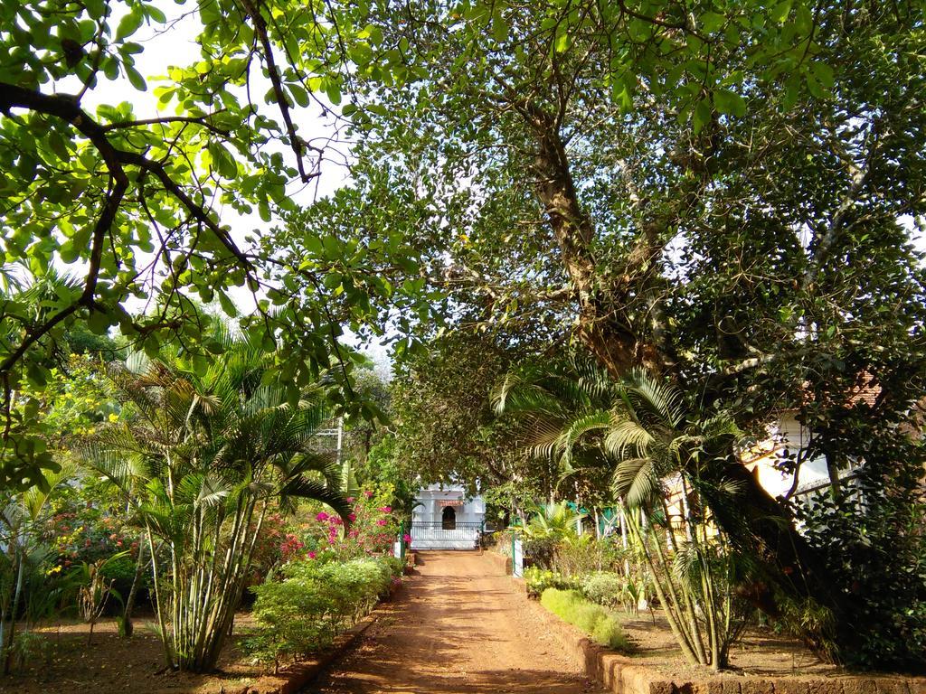Botanique Goa Hotel Assagao Exterior photo